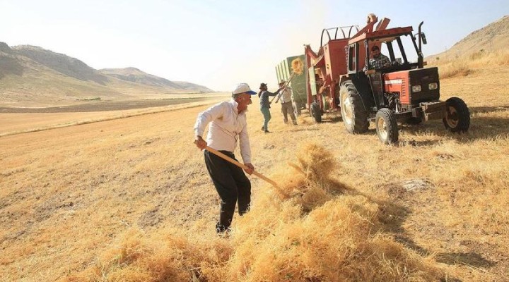 Buğday ithalatında dünya rekoru kırdık