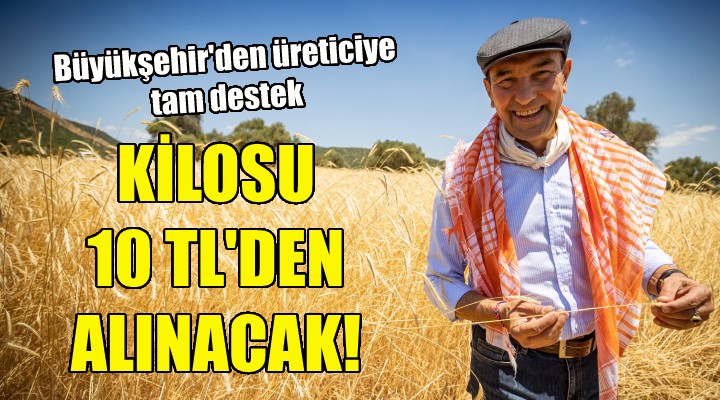 Buğdayın kilosu 10 liradan alınacak!