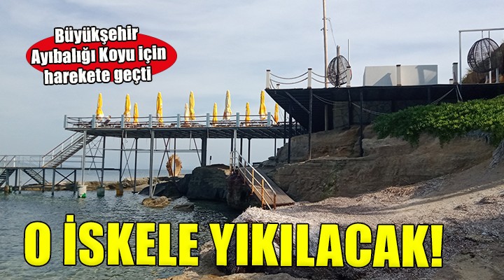 Büyükşehir, Ayıbalığı Koyu için harekete geçti...