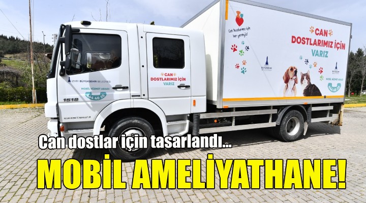 Büyükşehir den can dostlar için mobil ameliyathane!