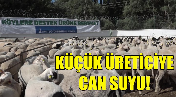 Büyükşehir den küçük üreticiye can suyu!