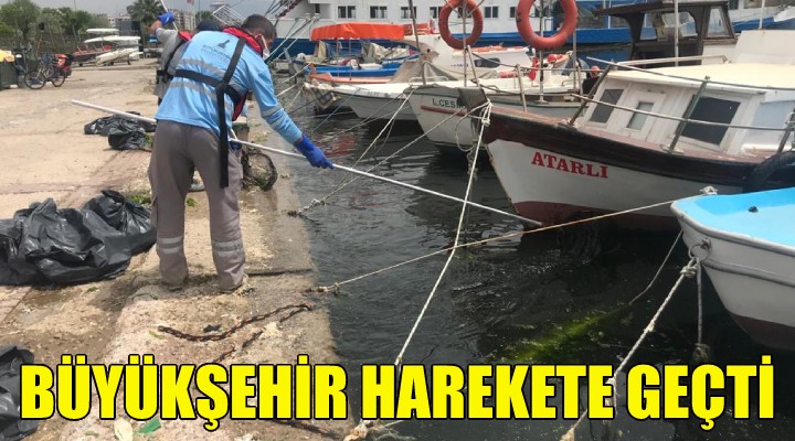 Büyükşehir harekete geçti!