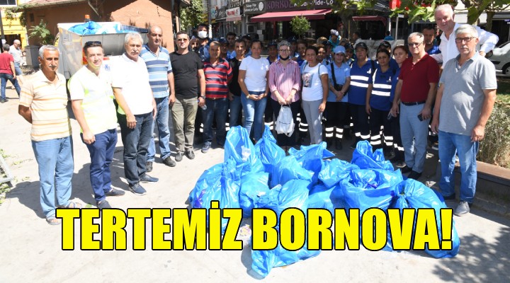 Büyükşehir ile el ele tertemiz Bornova!