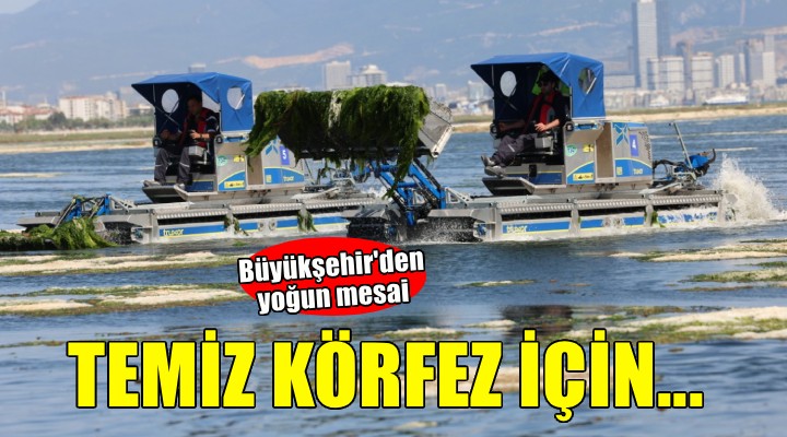 Büyükşehir’den Körfez’de temizlik mesaisi