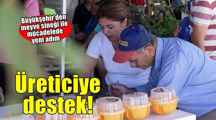 Büyükşehir’den üreticiye Akdeniz meyve sineği ile mücadele desteği