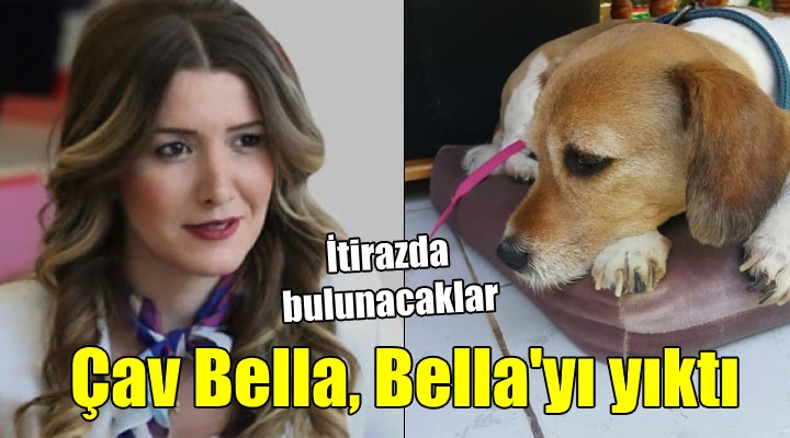 ÇAV BELLA, BELLA YI YIKTI