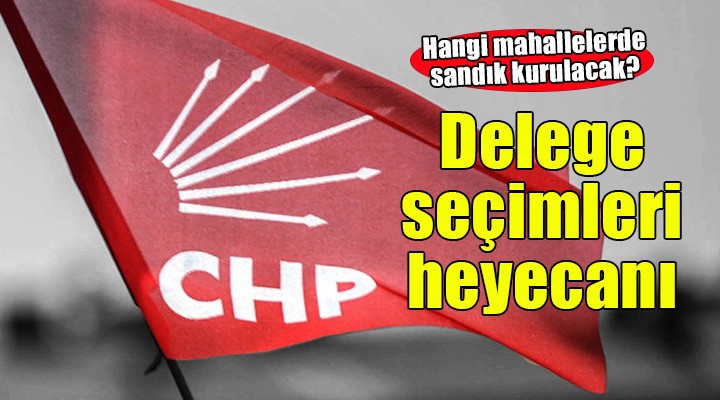 CHP İzmir de delege seçimleri sürüyor