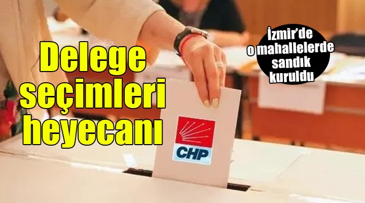 CHP de delege seçimleri heyecanı... O mahallelerde sandıkları kuruldu!