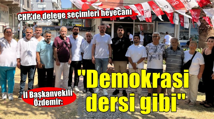 CHP de delege seçimleri heyecanı... Özdemir:  Demokrasi dersi niteliğinde 
