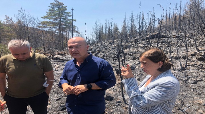 CHP li Bakan, Süllü ve Bakırlıoğlu ile birlikte yangın bölgesinde