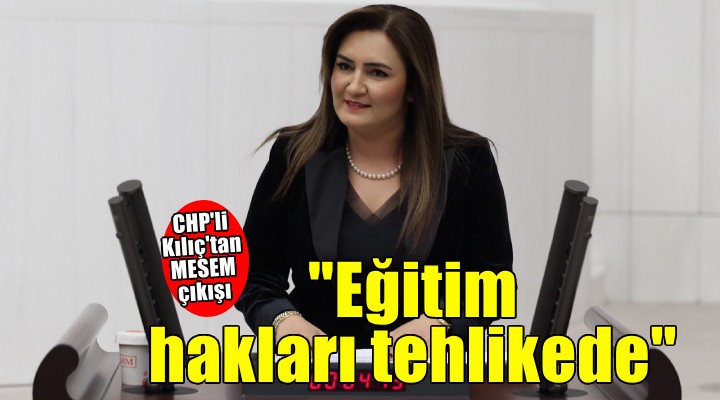 CHP li Kılıç: Mesleki eğitim önemlidir ama çocuk emeği sermayeye peşkeş çekilemez!