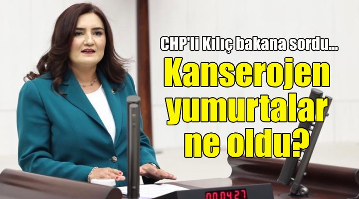 CHP li Kılıç bakana sordu: Kanserojen yumurtalar ne oldu?