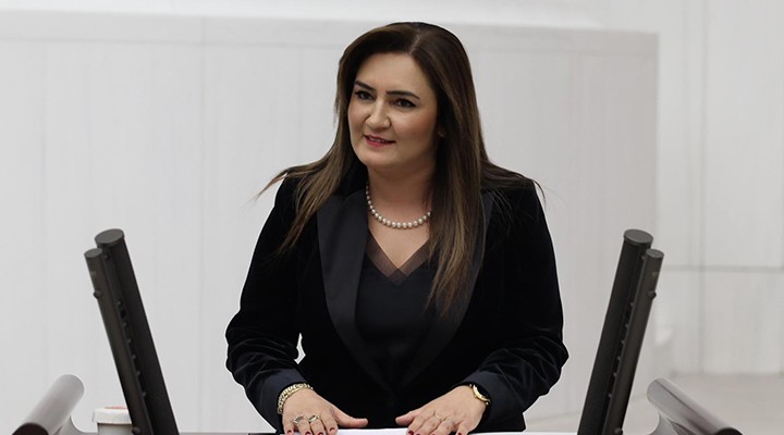 CHP li Kılıç tan Altaylı ya tepki: Merkepler adam olur, sen adam olmazsın.