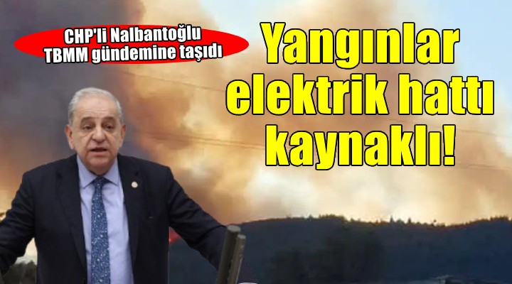 CHP li Nalbantoğlu: Orman yangınlarının yüzde 25 i elektrik hattı kaynaklı!