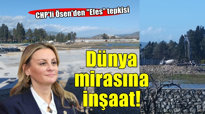 CHP li Ösen den  Efes  tepkisi: Dünya mirası SİT alanında inşaat kabul edilemez