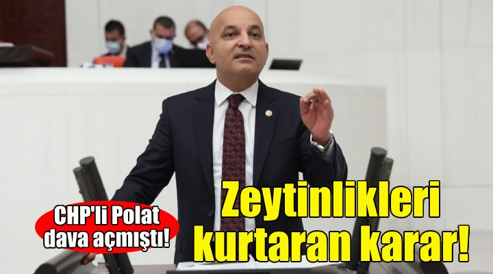 CHP li Polat dava açmıştı... Zeytinlikleri kurtaran karar!