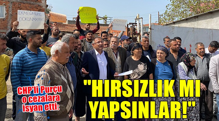 CHP li Purçu o cezalara isyan etti:  HIRSIZLIK MI YAPSINLAR! 