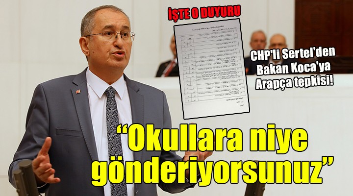 CHP li Sertel den Bakan Koca ya Arapça tepkisi!