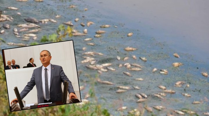 CHP li Sertel sordu, Bakan açıkladı... Gediz Nehri sınıf atlayacak!