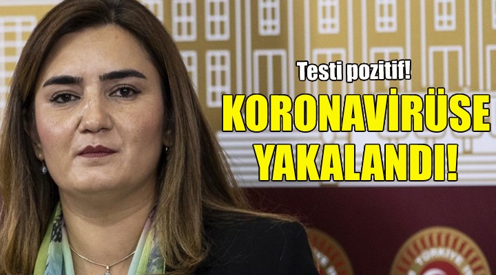 CHP li Sevda Erdan Kılıç koronavirüse yakalandı!