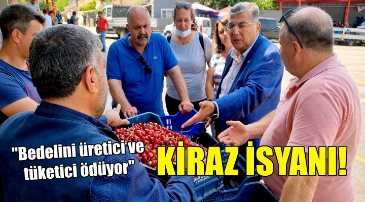 CHP li Sındır ın kiraz isyanı!