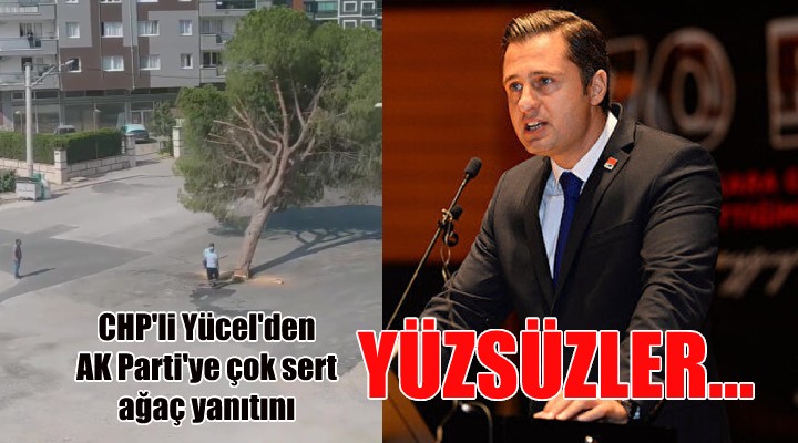 CHP li Yücel den ağaç eleştirisi getiren AK Parti ye: YÜZSÜZLER!