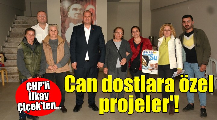 CHP’li İlkay Çiçek’ten can dostlara özel projeler!