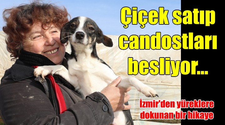 ÇİÇEK SATIP CANDOSTLARI BESLİYOR