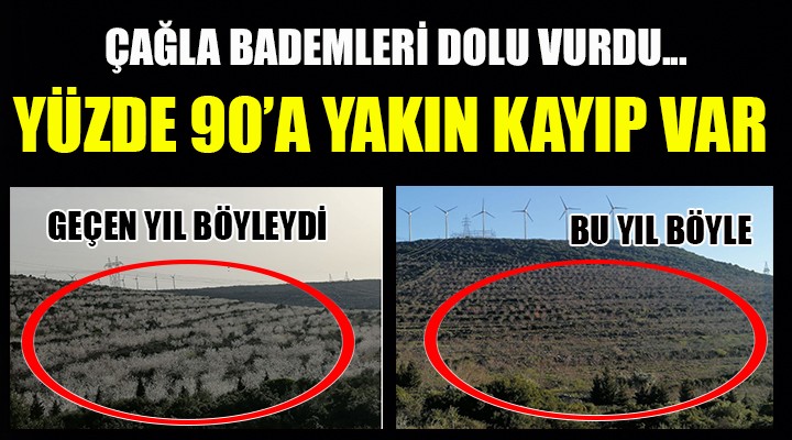 Çağla bademleri dolu vurdu... YÜZDE 90 A YAKIN KAYIP VAR!