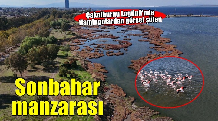 Çakalburnu Lagünü’nde sonbahar manzarası