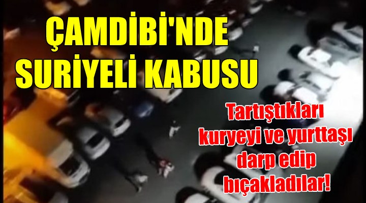 Çamdibi nde Suriyeli dehşeti!