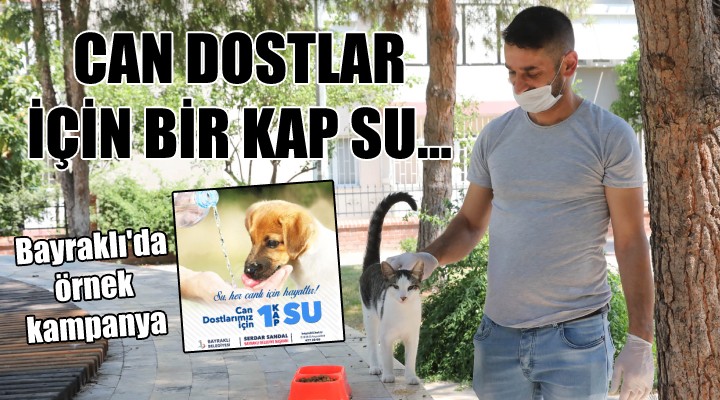 Bayraklı da örnek kampanya...  Can dostlar için bir kap su 