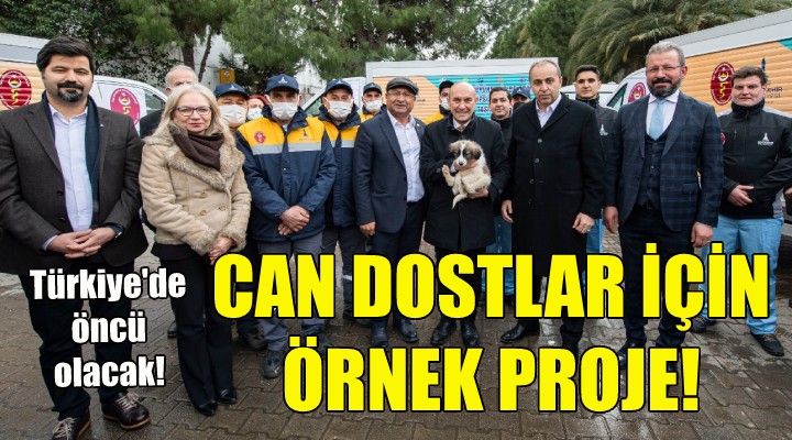 Can dostlar için örnek proje!