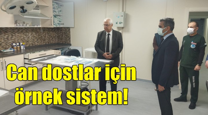 Can dostlar için örnek sistem!