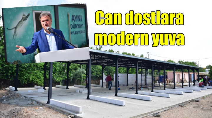 Can dostlara modern yuva