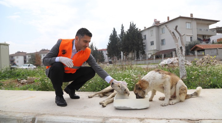 Can dostları Başkan Kayalar besledi