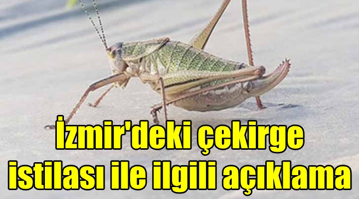 Çekirge istilası için açıklama