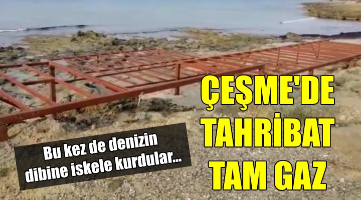 Çeşme Altınkum da tahribat tam gaz! BU KEZ DE İSKELE...