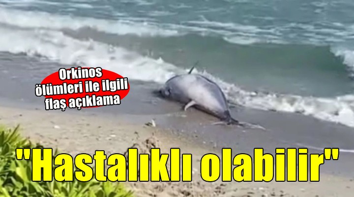 Çeşme Çevre Derneği nden orkinos ölümleri açıklaması...  Sessizlik endişelendiriyor 