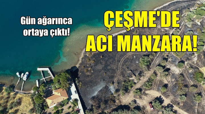 Çeşme de acı manzara... Gün ağarınca ortaya çıktı!