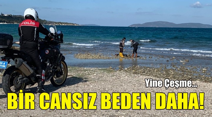 Çeşme de bir cansız beden daha bulundu!