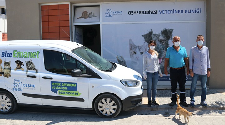 Çeşme de can dostlara veterinerlik hizmeti