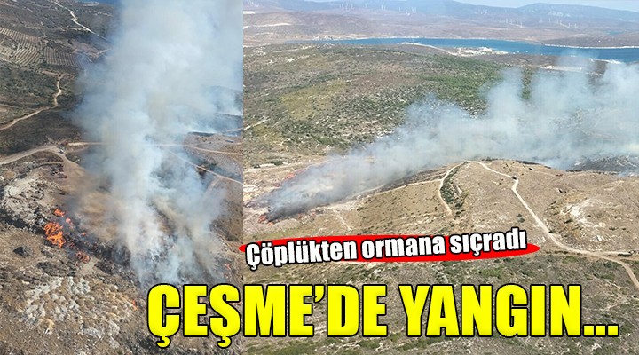 Çeşme de çöplükte çıkan yangın ormana sıçradı