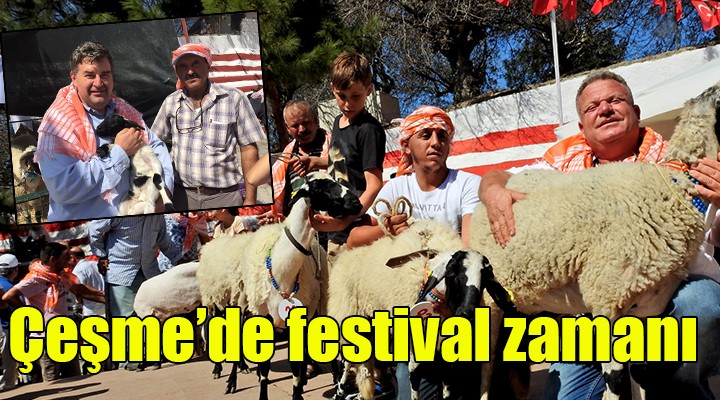 Çeşme de festival zamanı