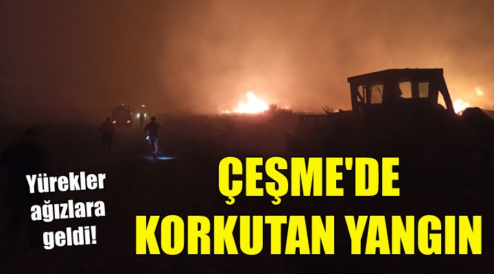 Çeşme de korkutan yangın!