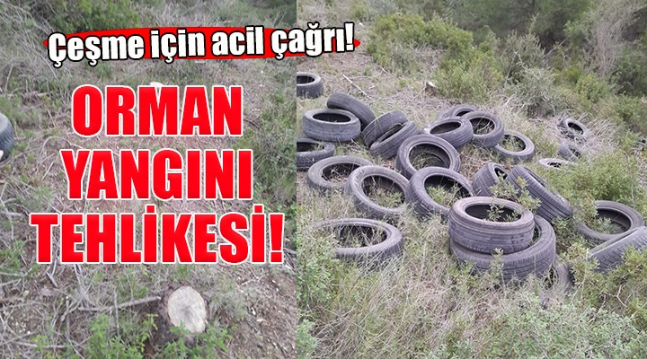 Çeşme de orman yangını tehlikesi!