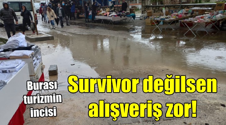 Çeşme de pazar yeri rezilliği! SURVİVOR DEĞİLSEN ALIŞVERİŞ ZOR...