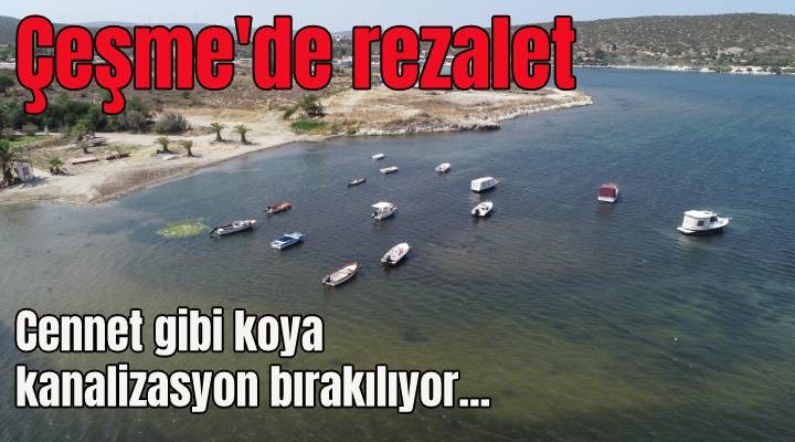 Çeşme de rezalet! Denize kanalizasyon veriliyor