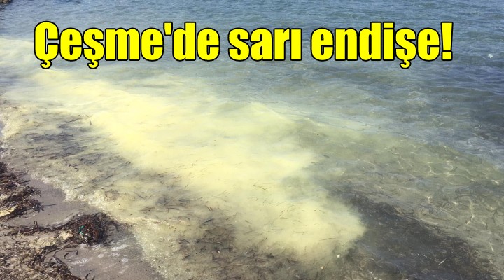 Çeşme de sarı endişe!