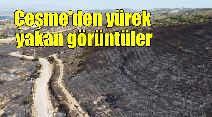 Çeşme den yürek yakan görüntüler!